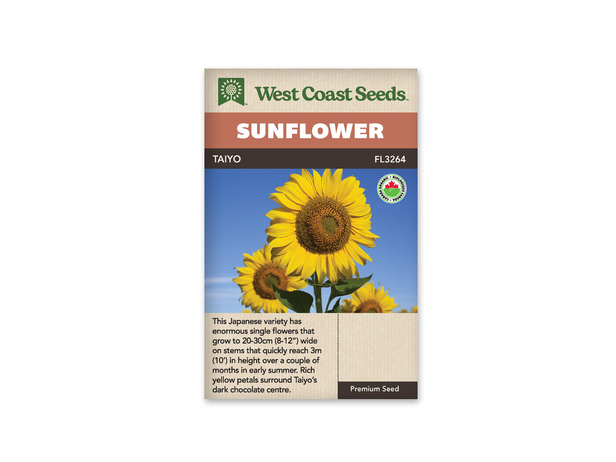 Sunflower Taiyo Organic (Seeds) Sunset Nursery