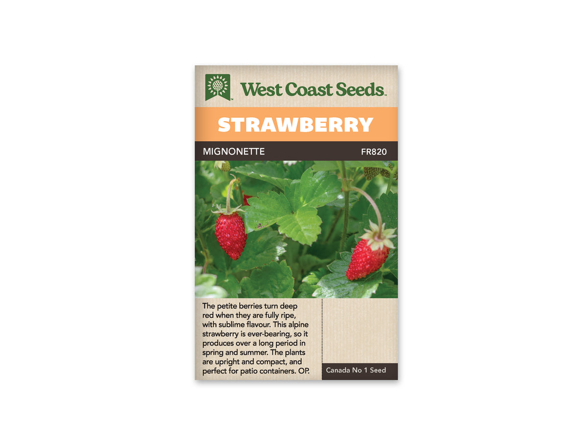 west coast seeds strawberry Strawberry