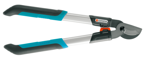 Bypass Pruning Loppers