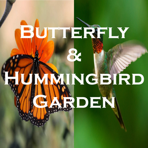 Butterfly & Hummingbird Garden