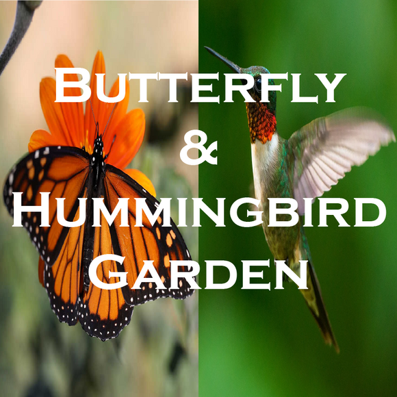 Butterfly & Hummingbird Garden
