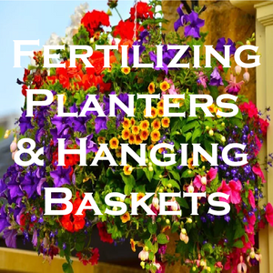 Fertilizing Hanging Baskets & Planters