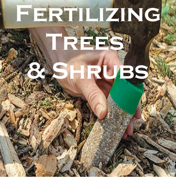 Fertilizing Trees & Shrubs