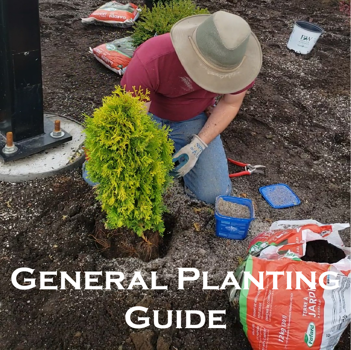 General Planting Guide – Sunset Nursery