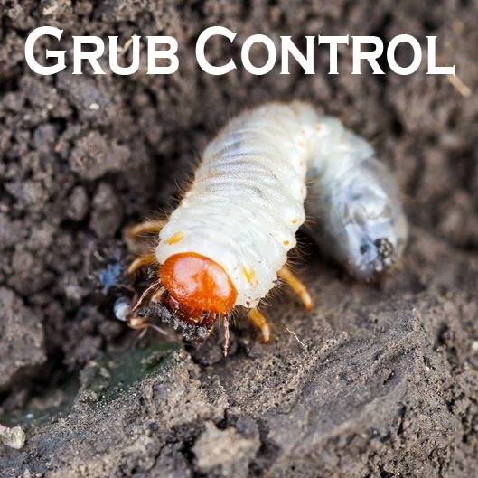 Grub Control