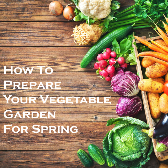 Preparing Your Vegetable Garden In The Spring