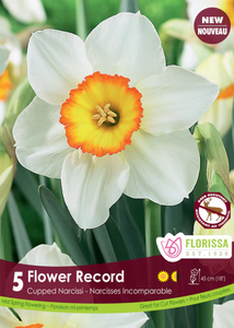 Narcissus Bulbs - Flower Record