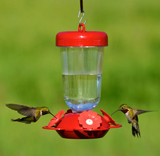 Hummingbird Feeder - Perky Pet Red