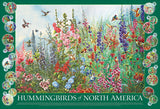 Puzzle - Hummingbirds of North America