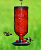 Hummingbird Feeder - Antique Red Medicine Bottle
