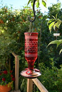 Hummingbird Feeder - Vintage Bottle Style