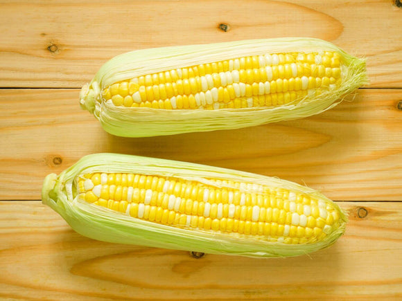 Corn - Bilicious Hybrid (Seeds)