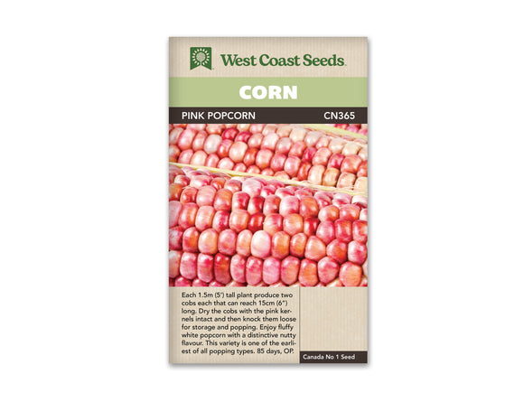 Corn - Pink Popcorn (Seeds)