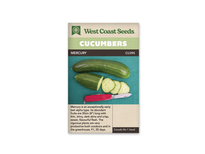 Cucumber - Mercury (Seeds)