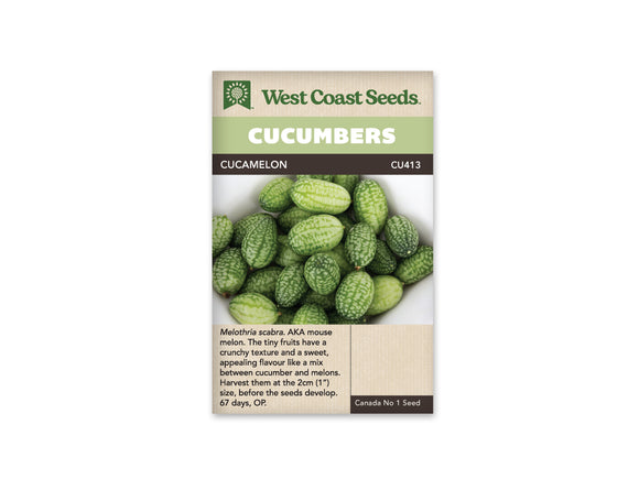 Cucumber - Cucamelon (Seeds)