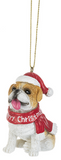 Ornament - Dog (Assorted)