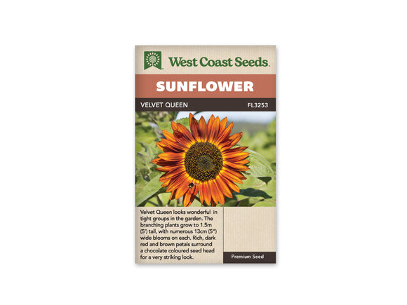 Sunflower - Velvet Queen (Seeds)