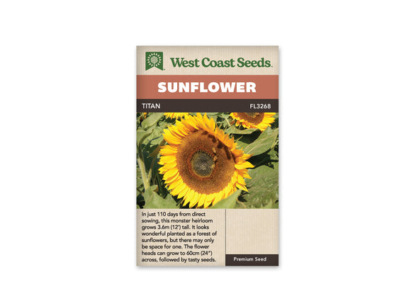 Sunflower - Titan (Seeds)
