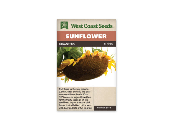 Sunflower - Giganteus (Seeds)