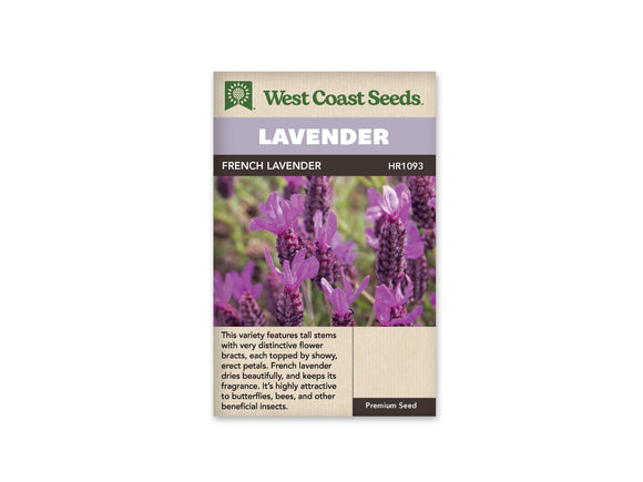 Lavender - French Lavender (Seeds)