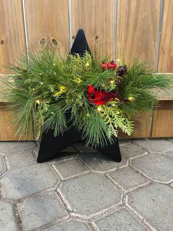 Workshop - Fresh Greens Star (Dec. 2 @ 6pm)