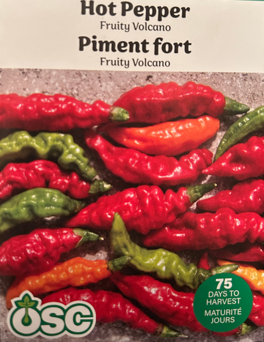 Volcano Pepper Hot Pepper - Fruity Volcano (Seeds) – Sunset Nursery