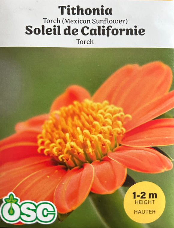 tithonia flower seeds Tithonia Torch (Mexican Sunflower) (Seeds) – Sunset Nursery