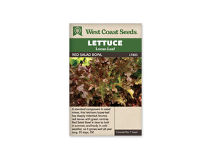 Lettuce - Salad Bowl Red (Seeds)