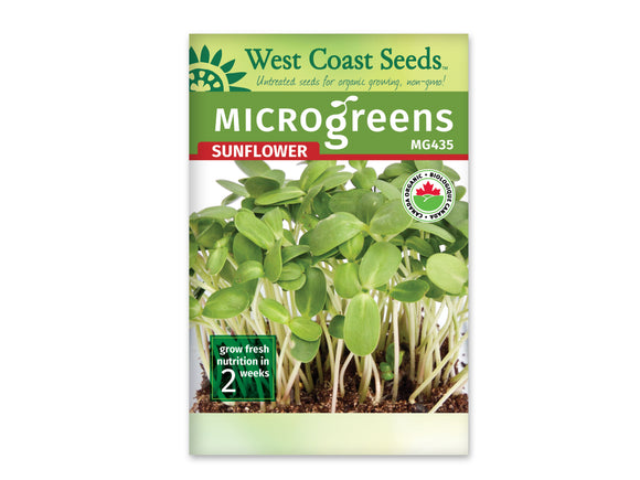 Sunflower Microgreen Sprouts - 100 gm