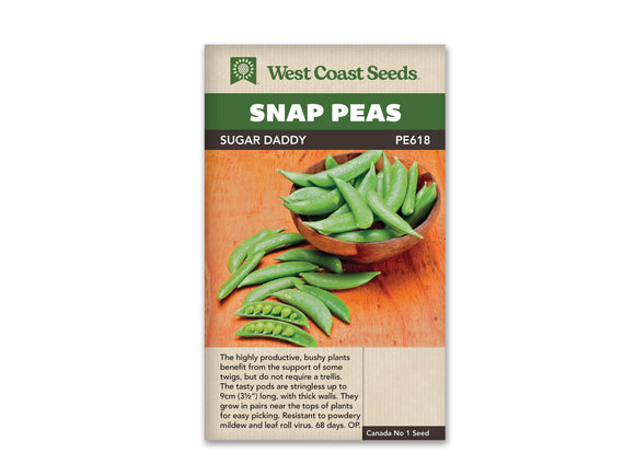 Pea - Sugar Daddy Snap 75G (Seeds)