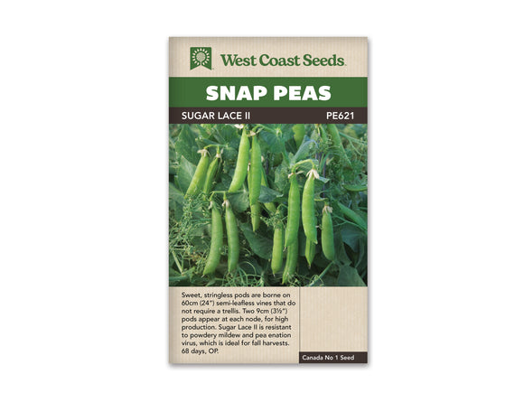 Peas - Sugar Lace II Snap (Seeds)