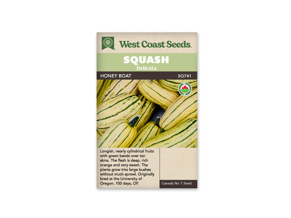 Squash Delicata - Honey Boat Organic (Seeds)
