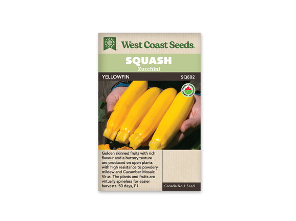 Zucchini - Yellowfin Organic (Seeds)