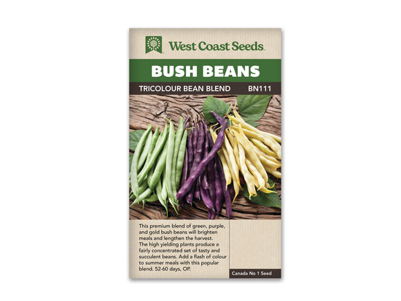 Bean - Tricolour Blend Bush (Seeds)
