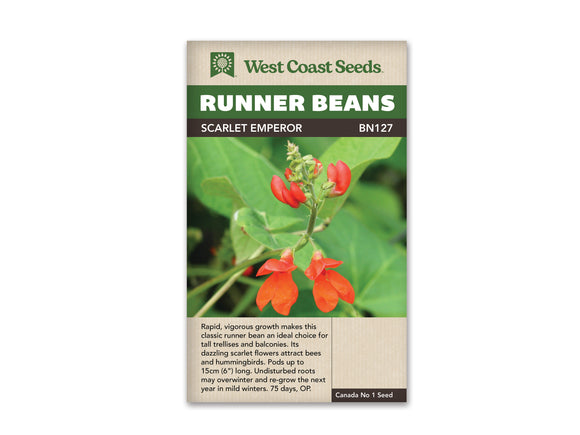 Runner Beans - Scarlet Runner Large Pack (Seeds)