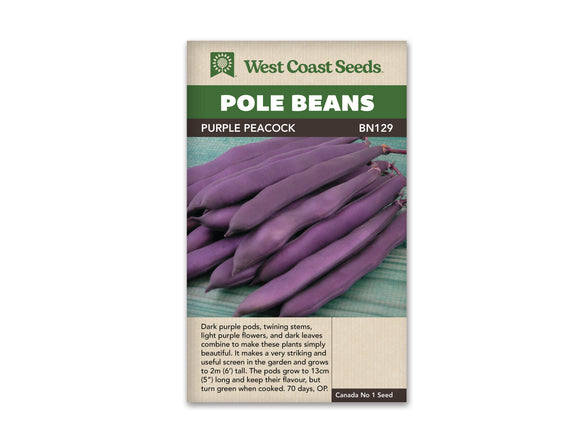 Pole Bean - Purple Peacock (Seeds)