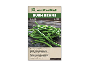 Beans - Goliath (Seeds)