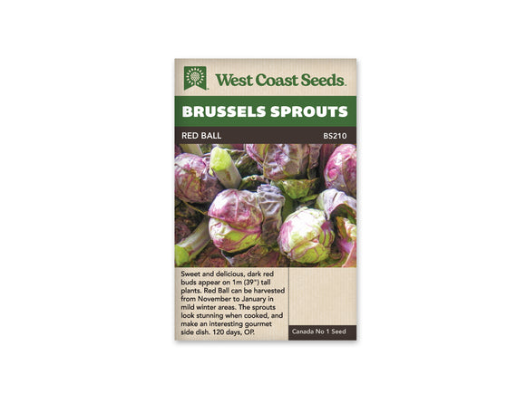 Brussels Sprouts - Red Ball (Seeds)