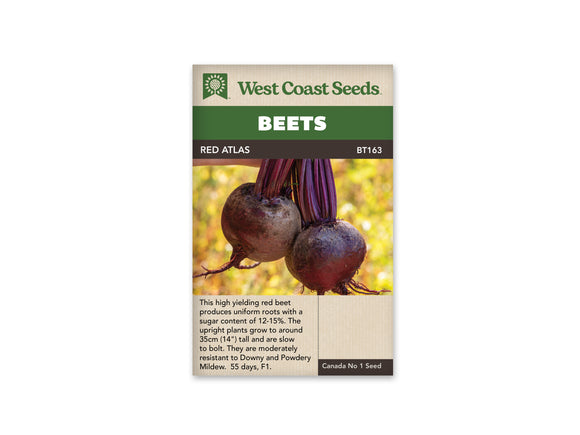 Beets - Red Atlas F1 (Seeds)