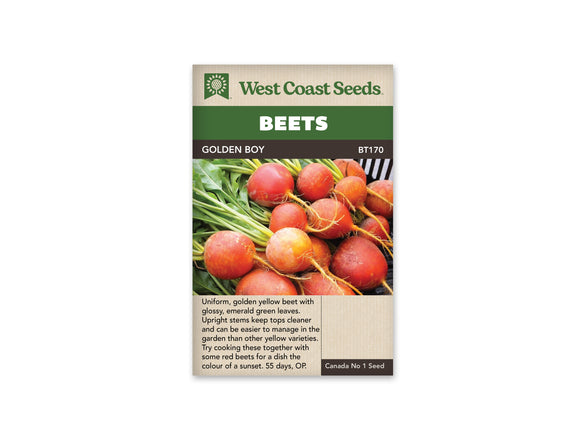 Beets - Golden Boy (Seeds)