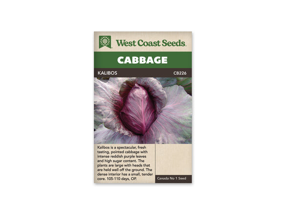 Cabbage - Kalibos (Seeds)