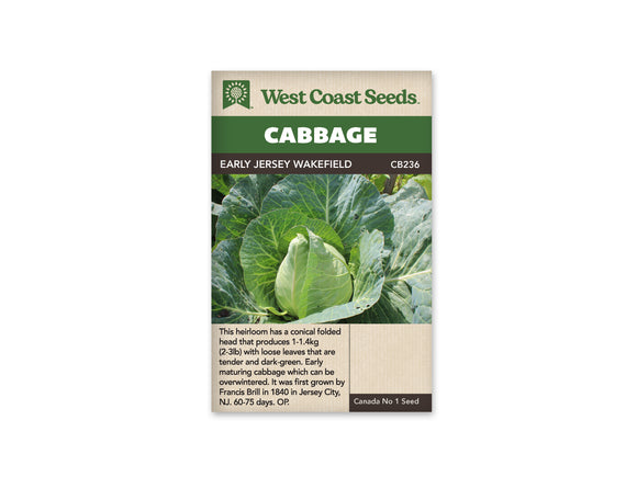 Cabbage - Early Jersey Wakefield (Seeds)