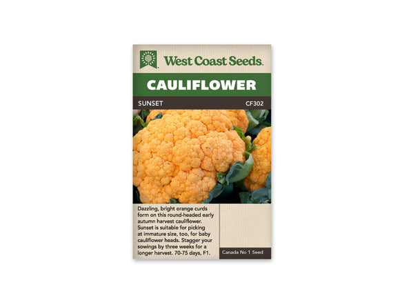 Cauliflower - Sunset (Seeds)