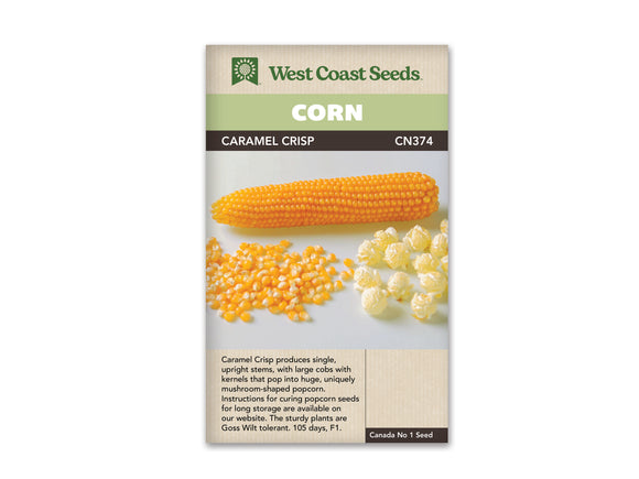 Corn - Caramel Crisp (Seeds)