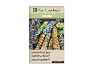 Corn - Glass Gem Organic (Seeds)