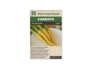 Carrot - Yellowstone Organic (Seeds)
