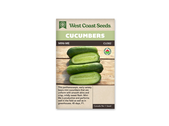 Cucumber - Mini-Me Organic (Seeds)