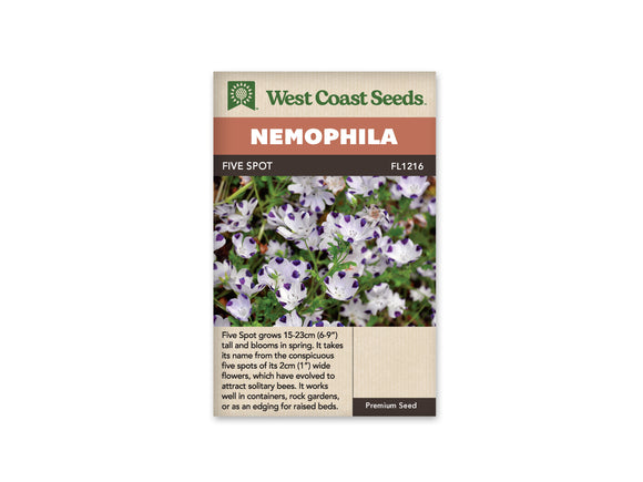 Nemophila - Five Spot (Seeds)
