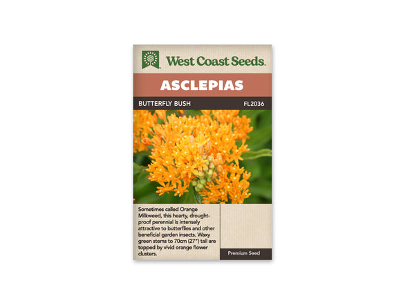 Asclepias - Butterfly Bush (Seeds)