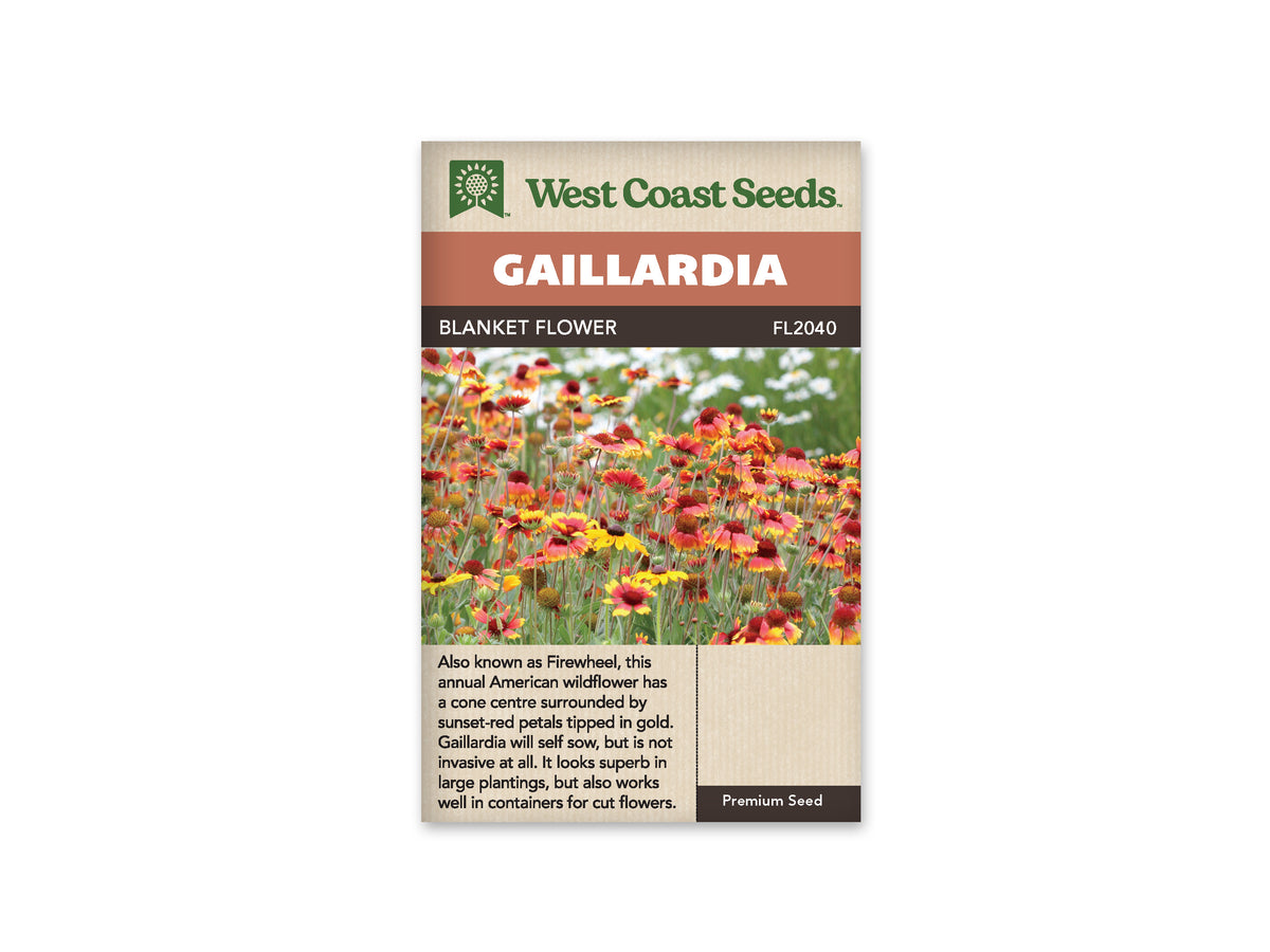 Gaillardia Blanket Flower (Seeds) Sunset Nursery